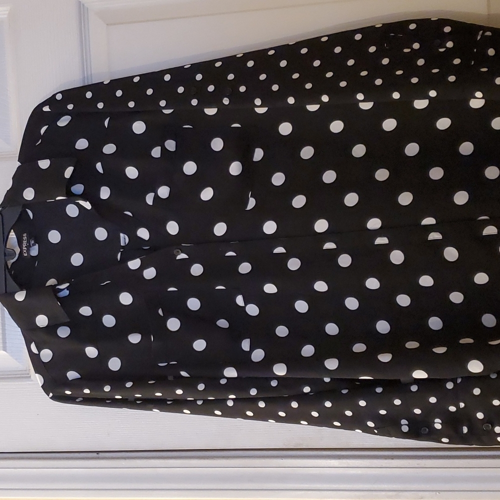 Express Sheer Button-Down Blouse